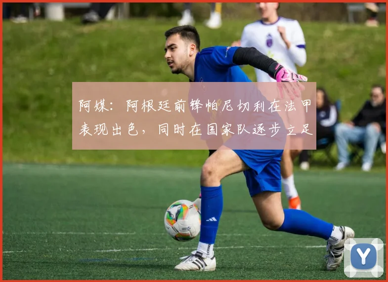 阿媒：阿根廷前锋帕尼切利在法甲表现出色，同时在国家队逐步立足